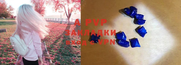 apvp Каменка