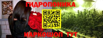 гидра Волгодонск