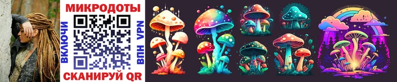 darknet клад  Ишим  Галлюциногенные грибы Psilocybine cubensis  сколько стоит 