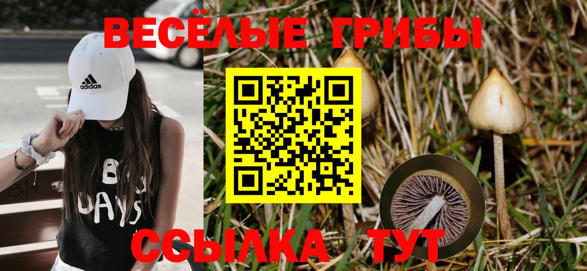 Галлюциногенные грибы GOLDEN TEACHER  Псилоцибиновые грибы MAGIC MUSHROOMS  Ишим  Вход с VPN 