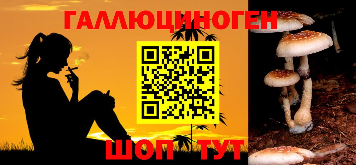 Псилоцибиновые грибы мухоморы Ишим