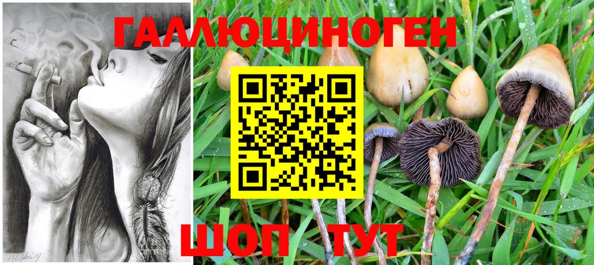 Псилоцибиновые грибы прущие грибы Ишим
